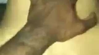 الفحل الأسود يضرب فتاته المتلهفة في غرفة النوم طوال الليل