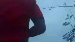 غابة مثليه الديك الكبير