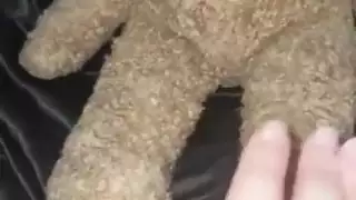 فرج مراهقة مبلل يُضرب بقضيب بي بي سي في الحمام