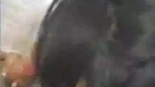 آسيوية متلهفة تمص وتنك في مشهد إباحي